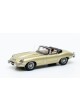 Jaguar Type E roadster or mtallis - 1970   Matrix 1/43 